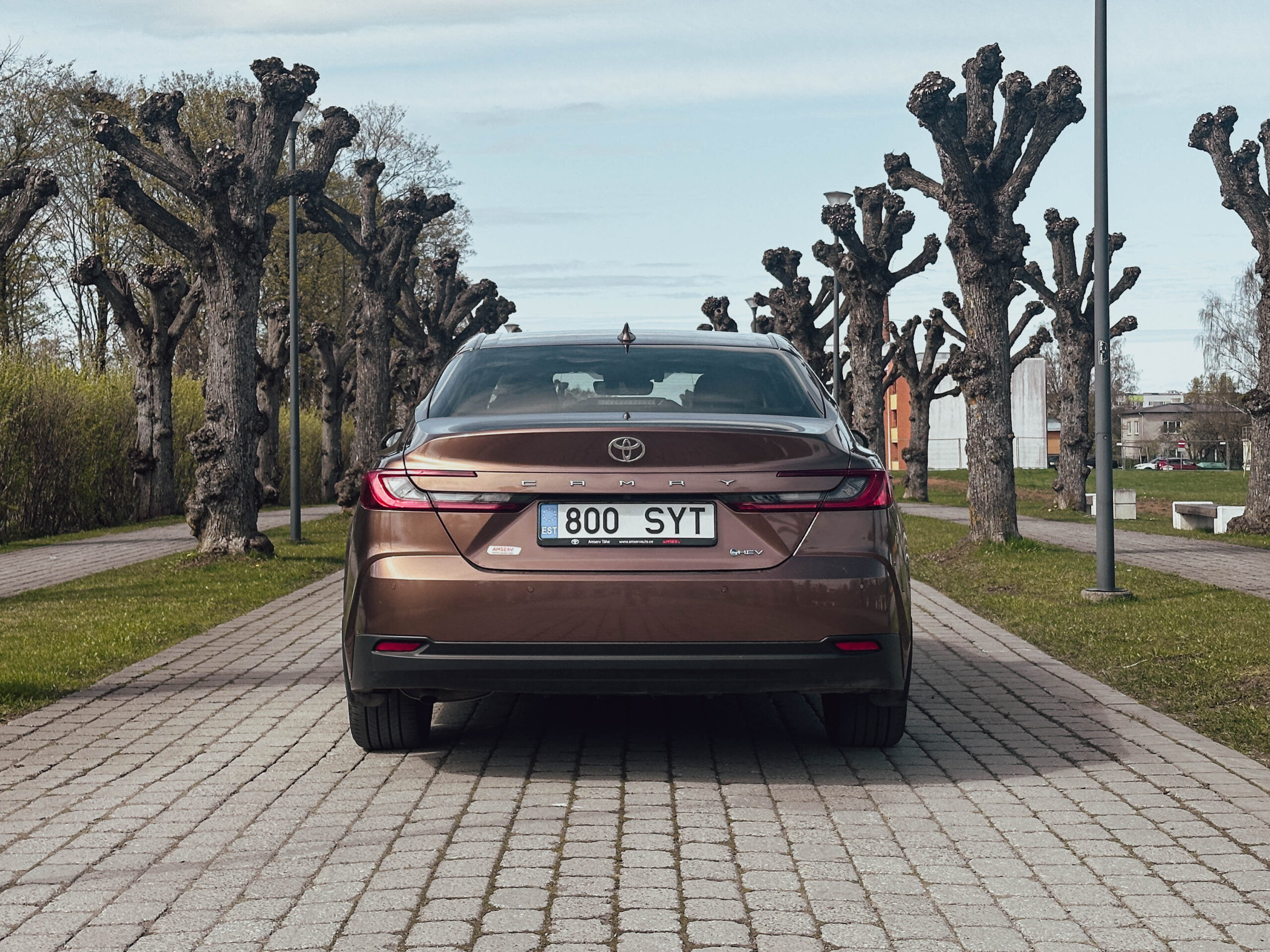 Toyota Camry, Mart Lumiste