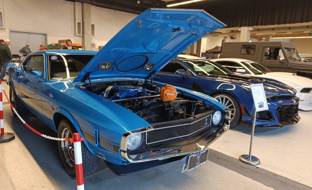 Veterama laat 2025, Gerli Ramler