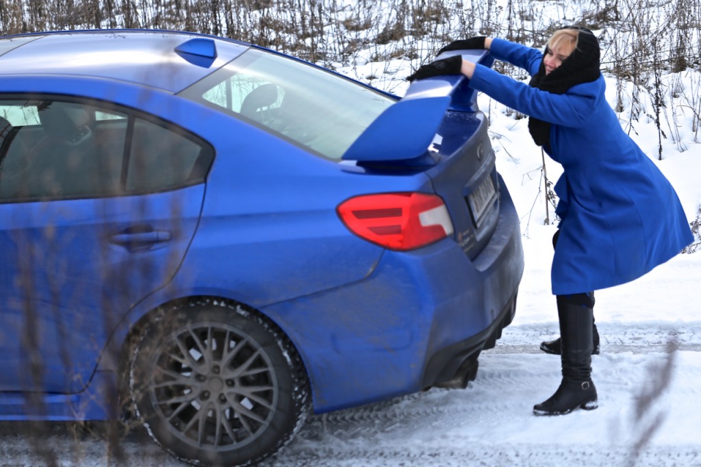 nipid libedahirm libedasõitu