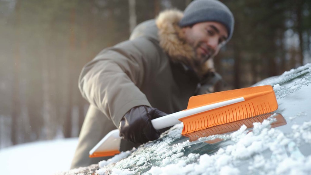 lumest puhastamise nipid