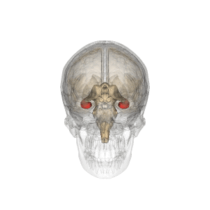 Images are generated by Life Science Databases (LSDB)