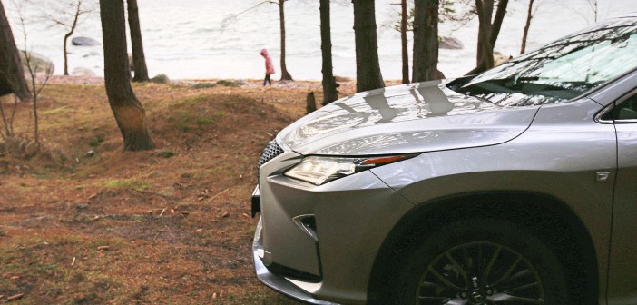 Lexus RX esiots