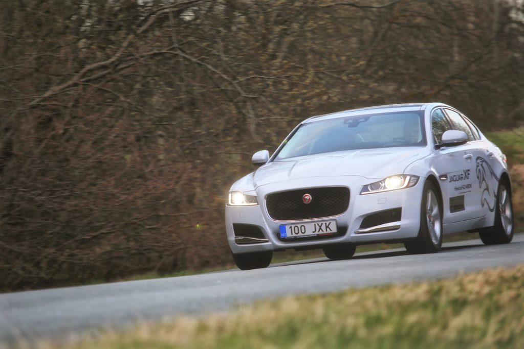Jaguar