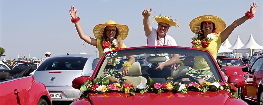 beetle sunshine tour