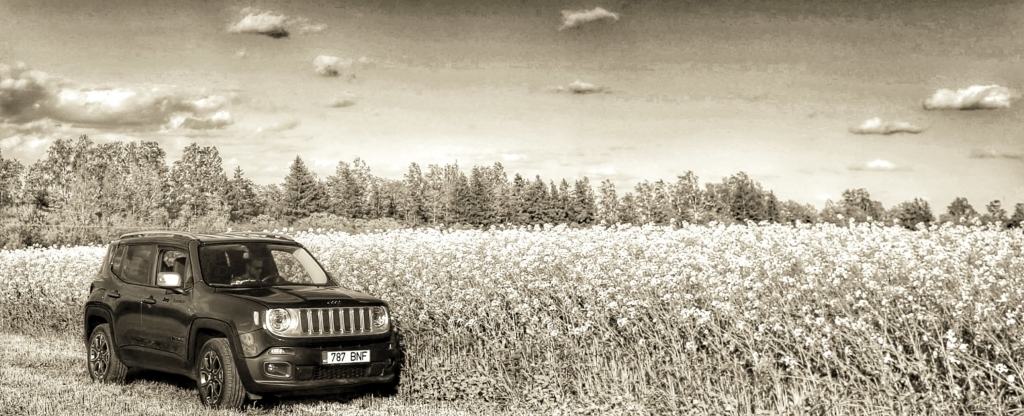 fca