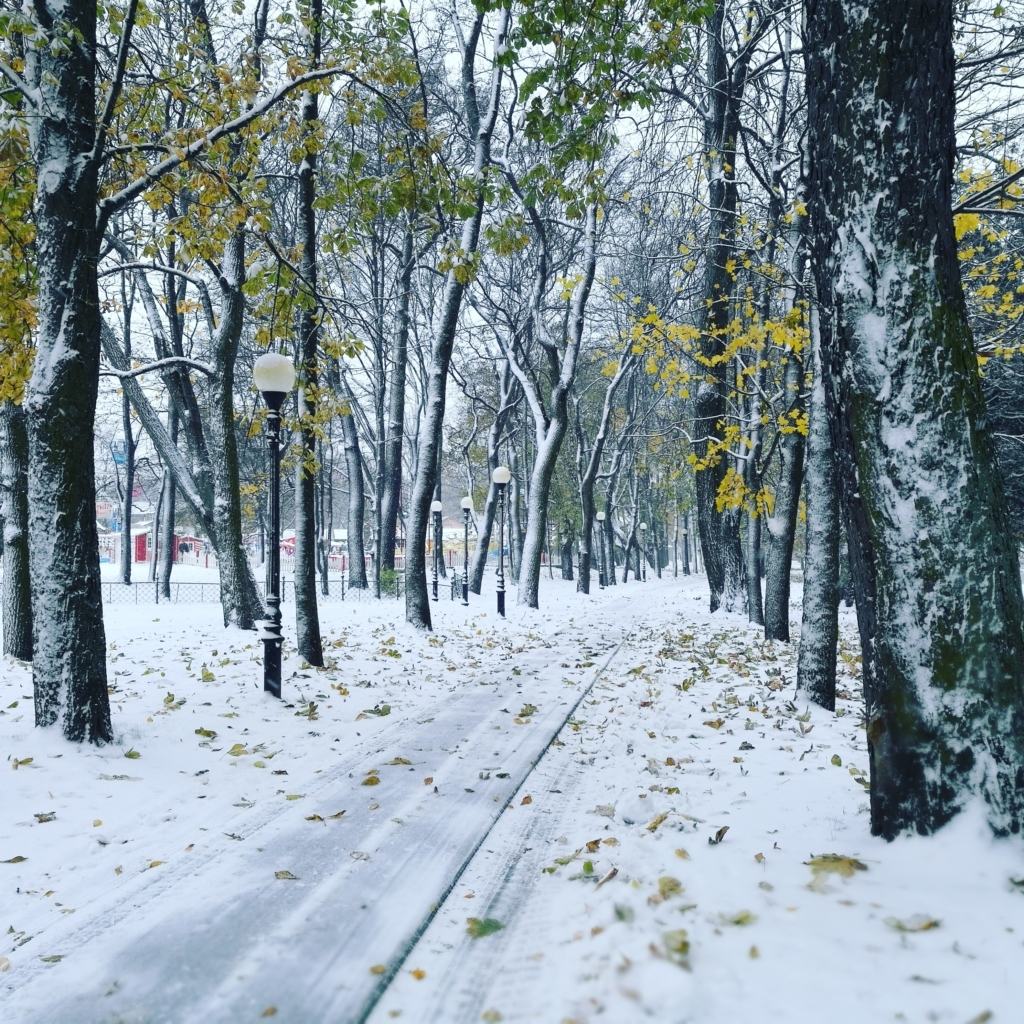 arvutimaailm kadriorg