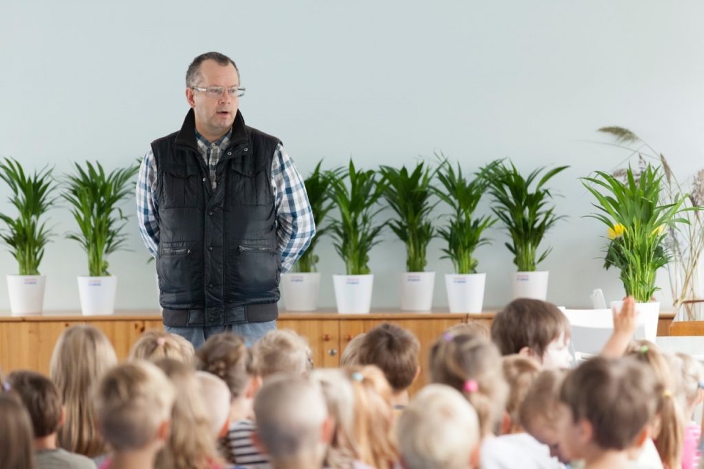 eesti kuldviljakpalm