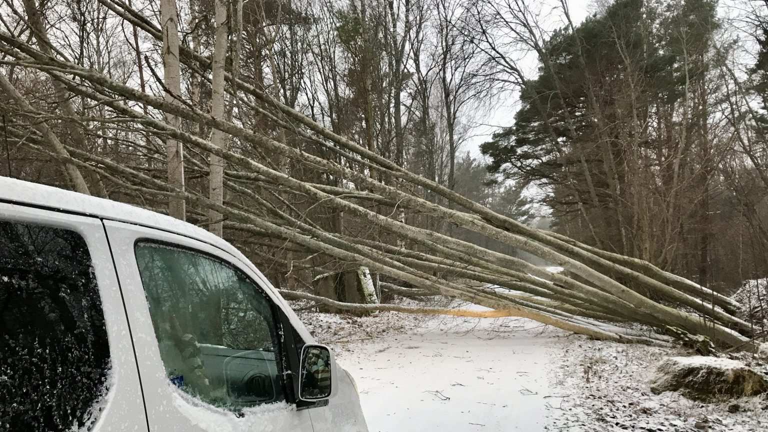 tormis ja marus