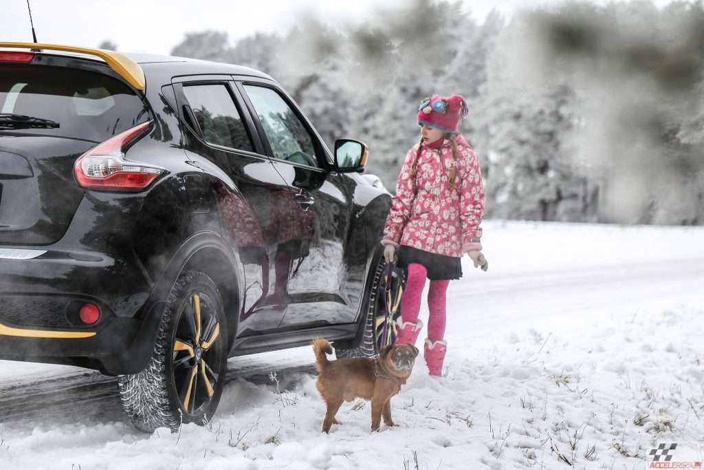 nissan juke koer laps