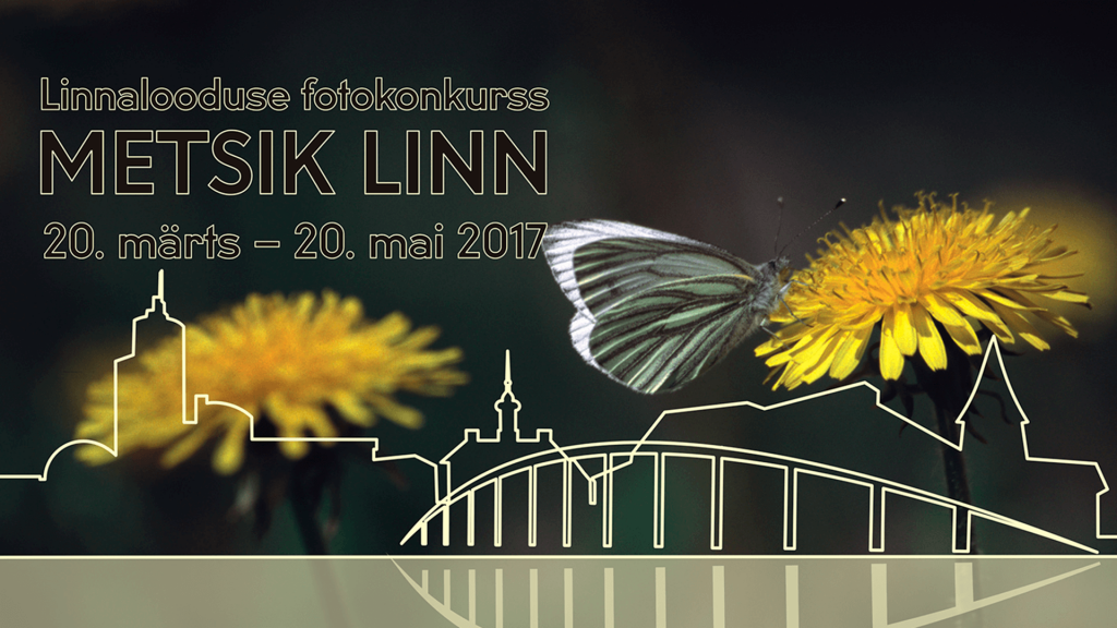 metsik linn