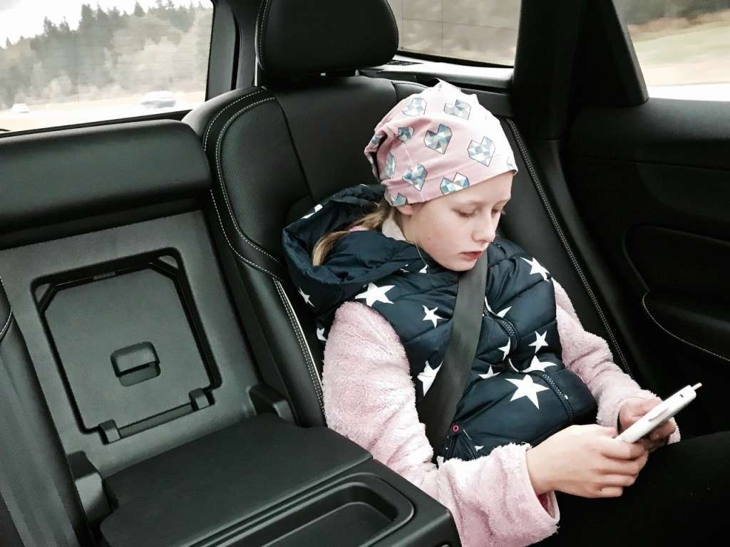 eesti turvaviga viis lubadust rakendust eestlased