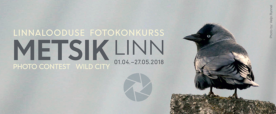 metsik linn