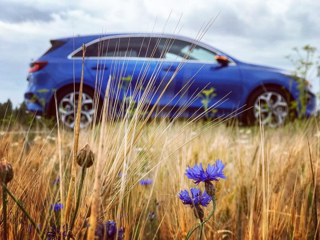 juunis kia ceed auto