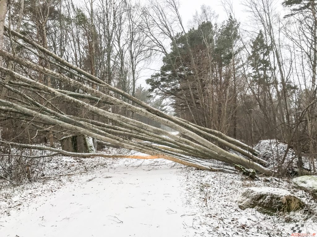 jaanuaritorm