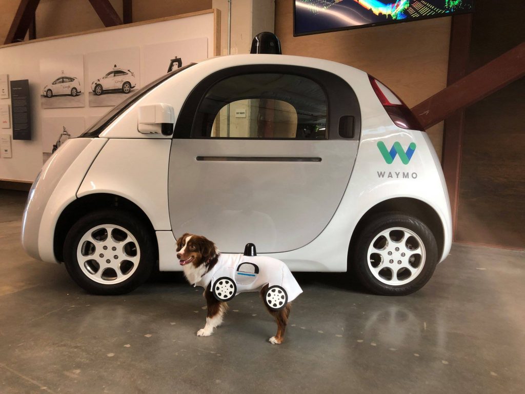 robotautod