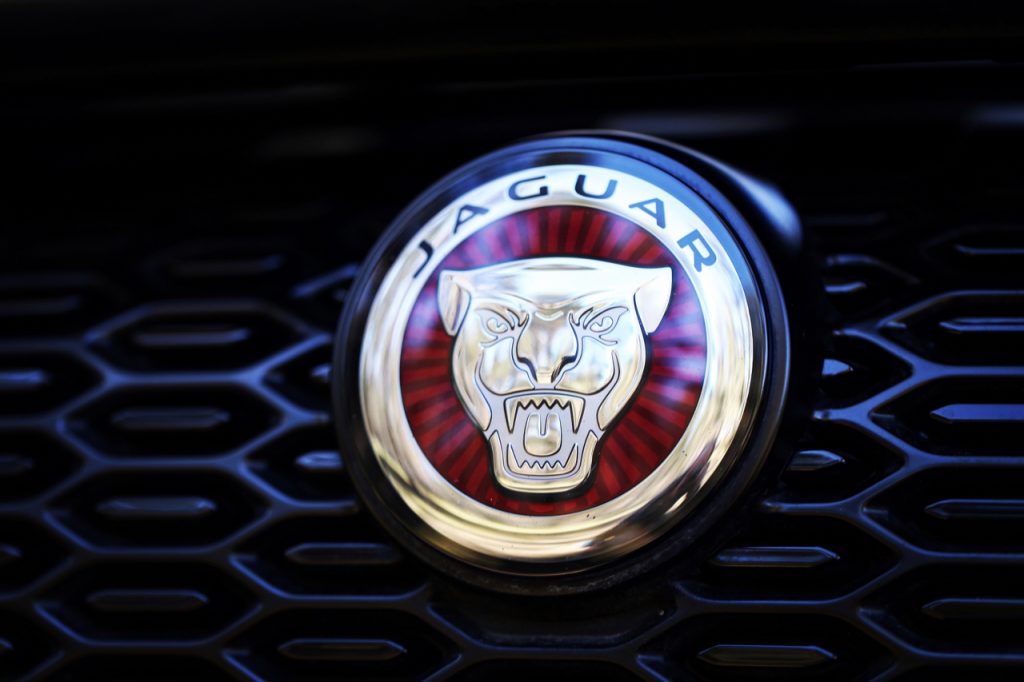 jaguar
