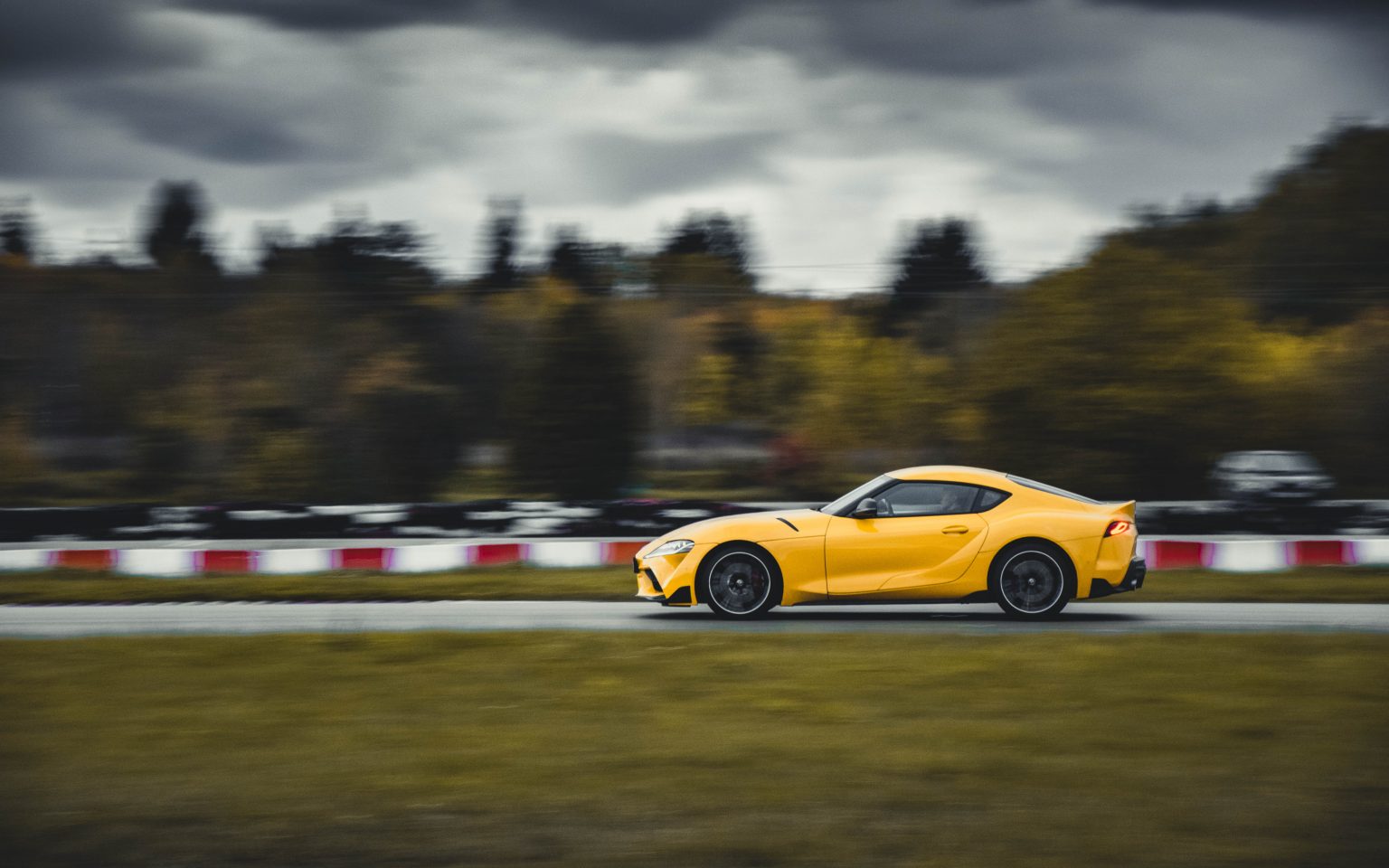 lemmikautod