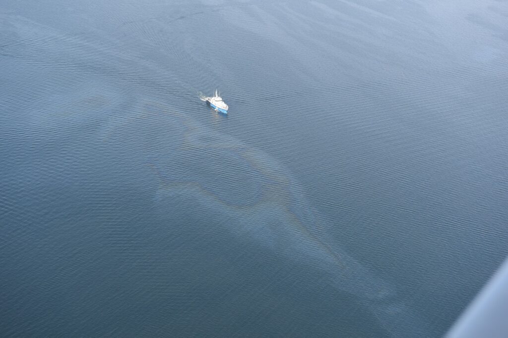merereostus