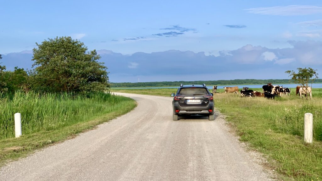 Subaru Outback kuues gene