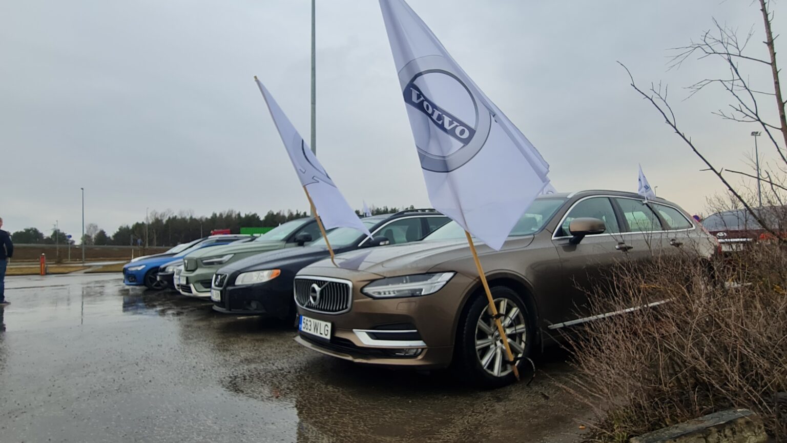 Volvo kruiis 95