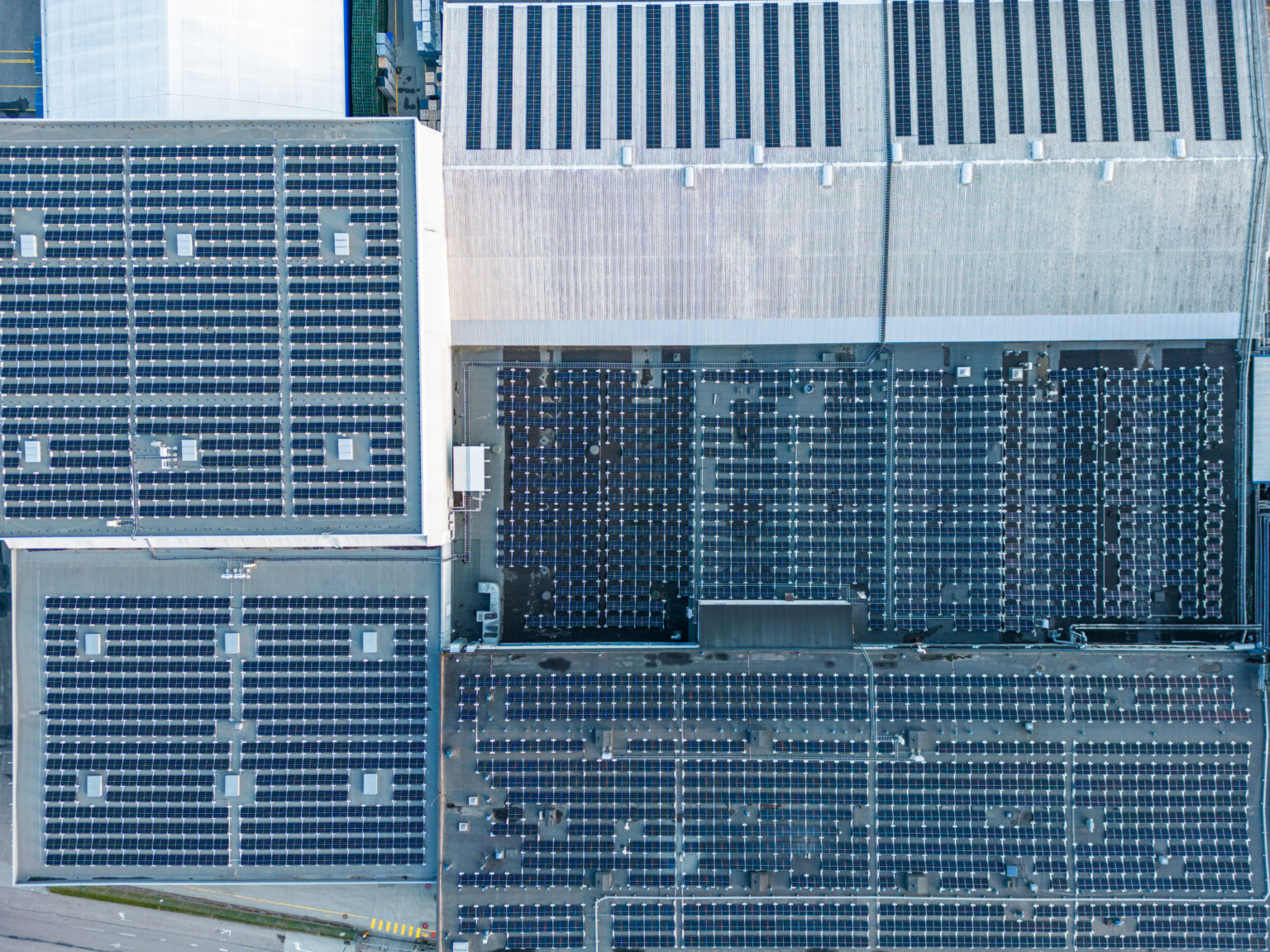 Päikesepark, Mihkel Notta