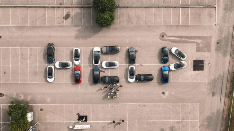 Tesla näljastreik