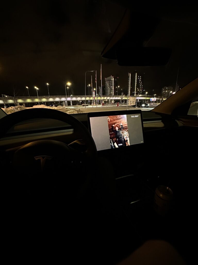 Tesla Model Y, Vladimir Niinimäki