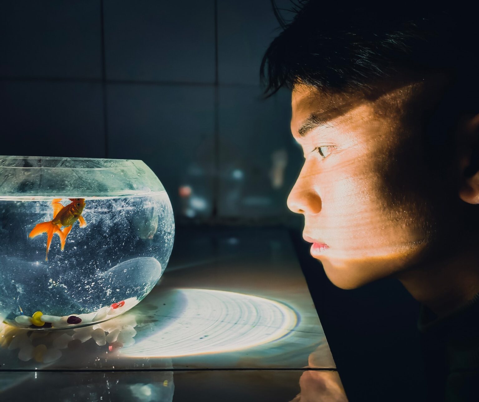 Yang Jianxiong - Huawei Mate 40 Pro