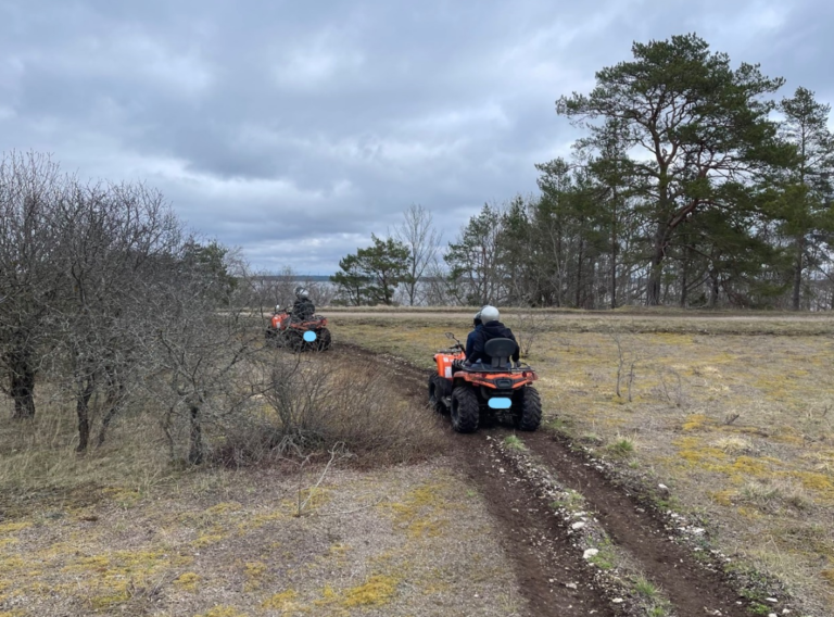pakri mka atv safari
