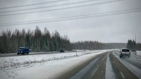 vinguviiulite voidukaik