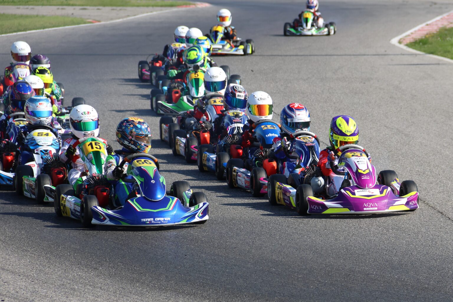 Albert Tamm, kart