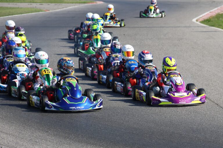 Albert Tamm, kart