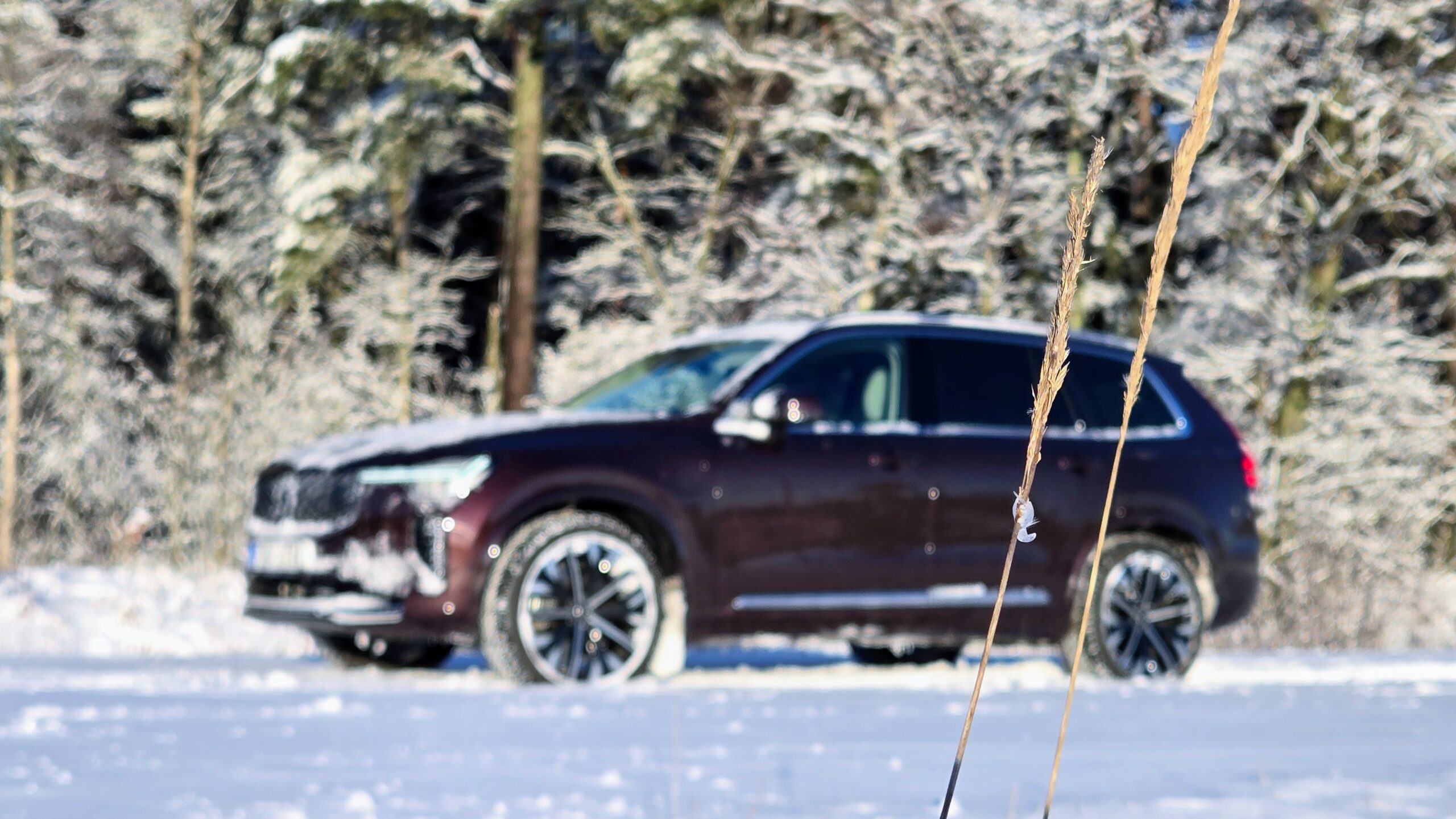 Volvo XC90, Indrek Jakobson