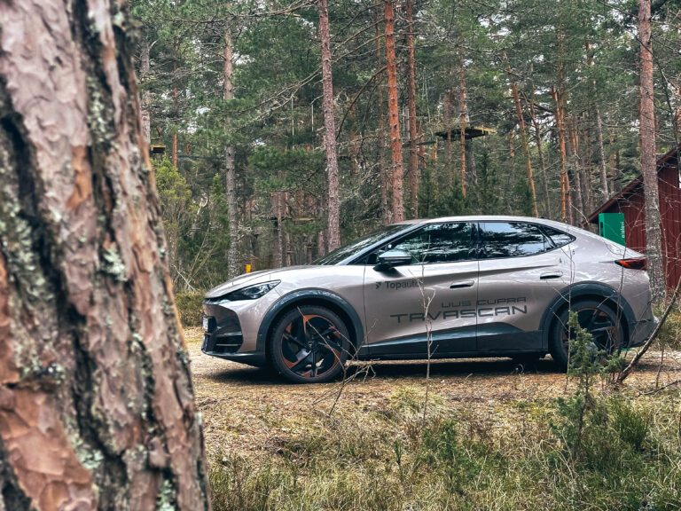 Cupra Tavascan, Mart Lumiste