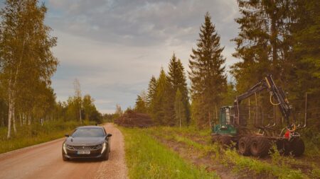 Teeäärsed kaasikud vähendaksid ulukiõnnetusi