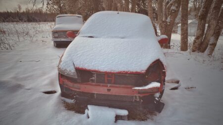 kasuta võimalust ja lase autoromu tasuta lammarisse vedada