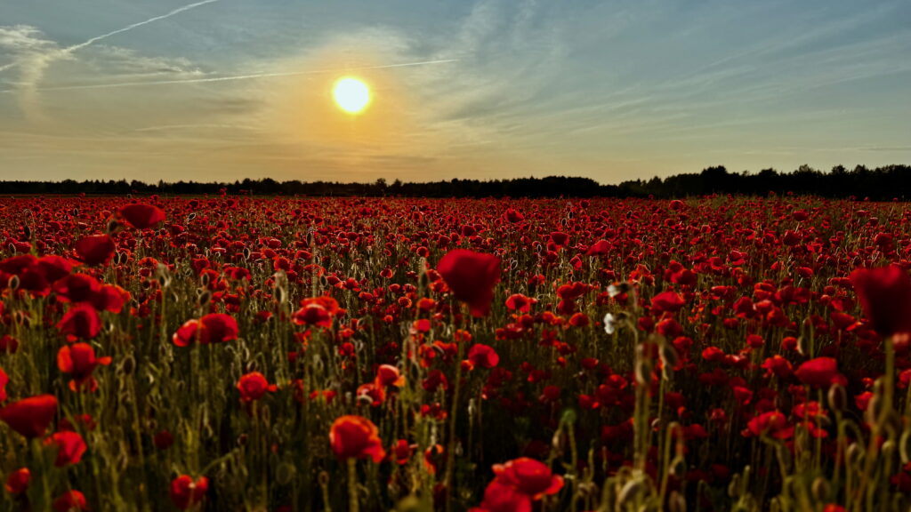 Kas Eesti ilma mõjutatakse kliimarelvaga