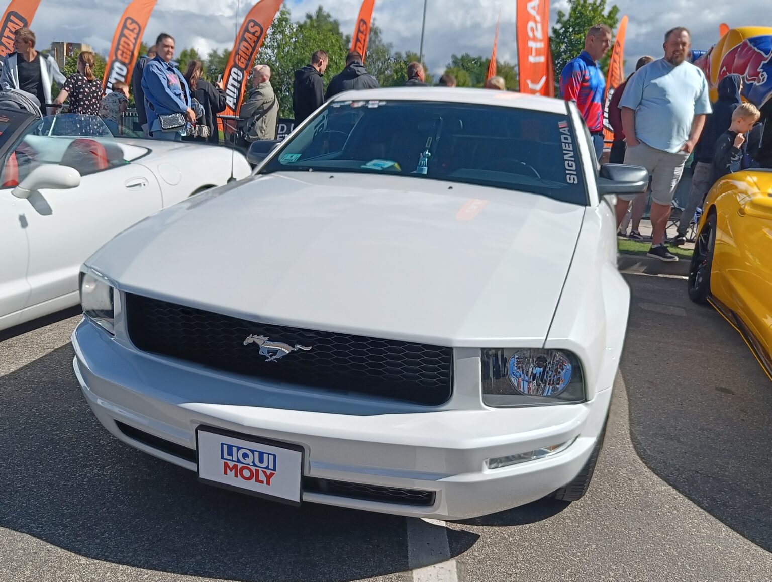 Memel Motor Fest Panevėžyses 2025, Gerli Ramler