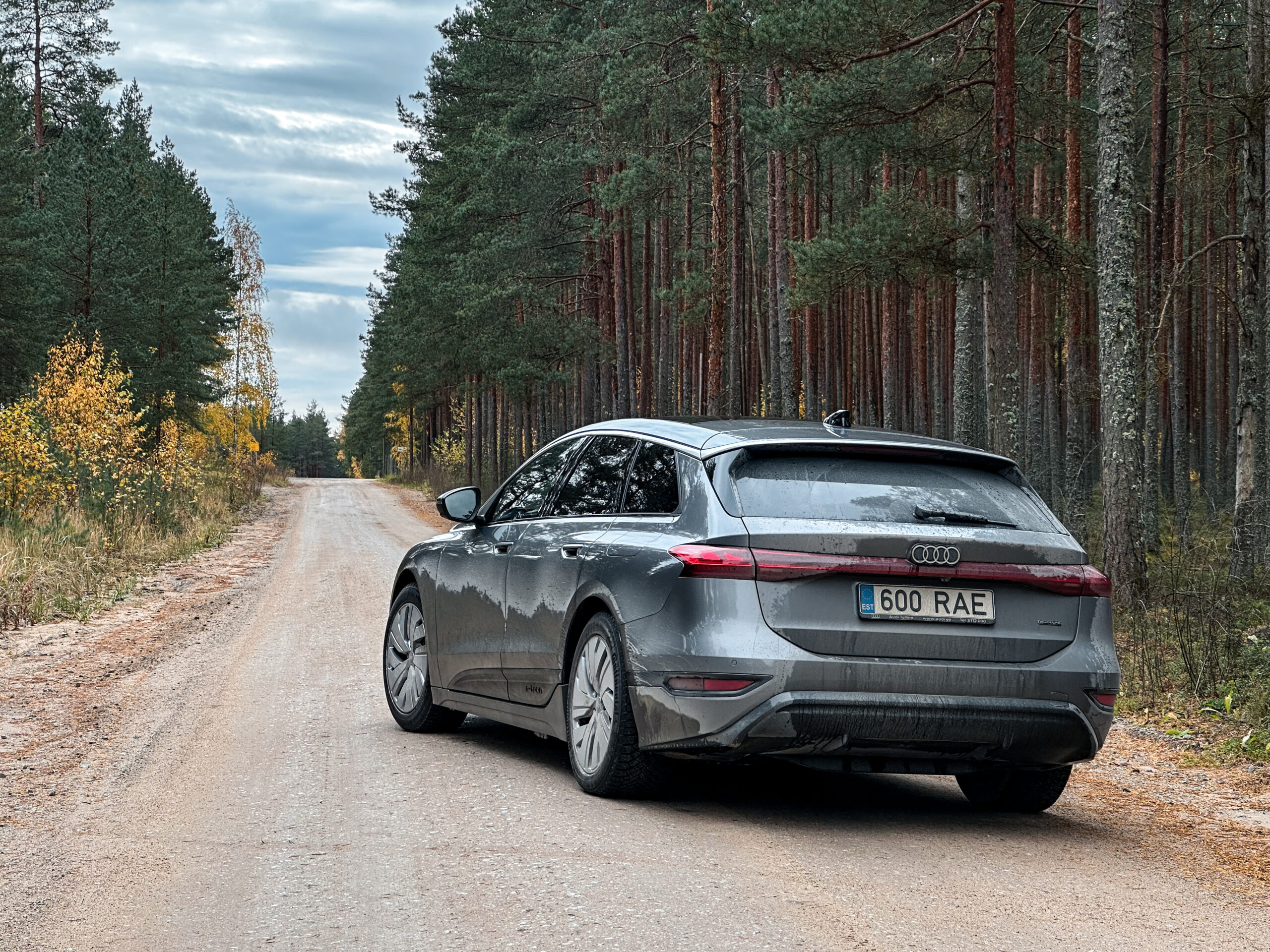 Audi A6 Avant e-tron, Vladimir Niinimäki