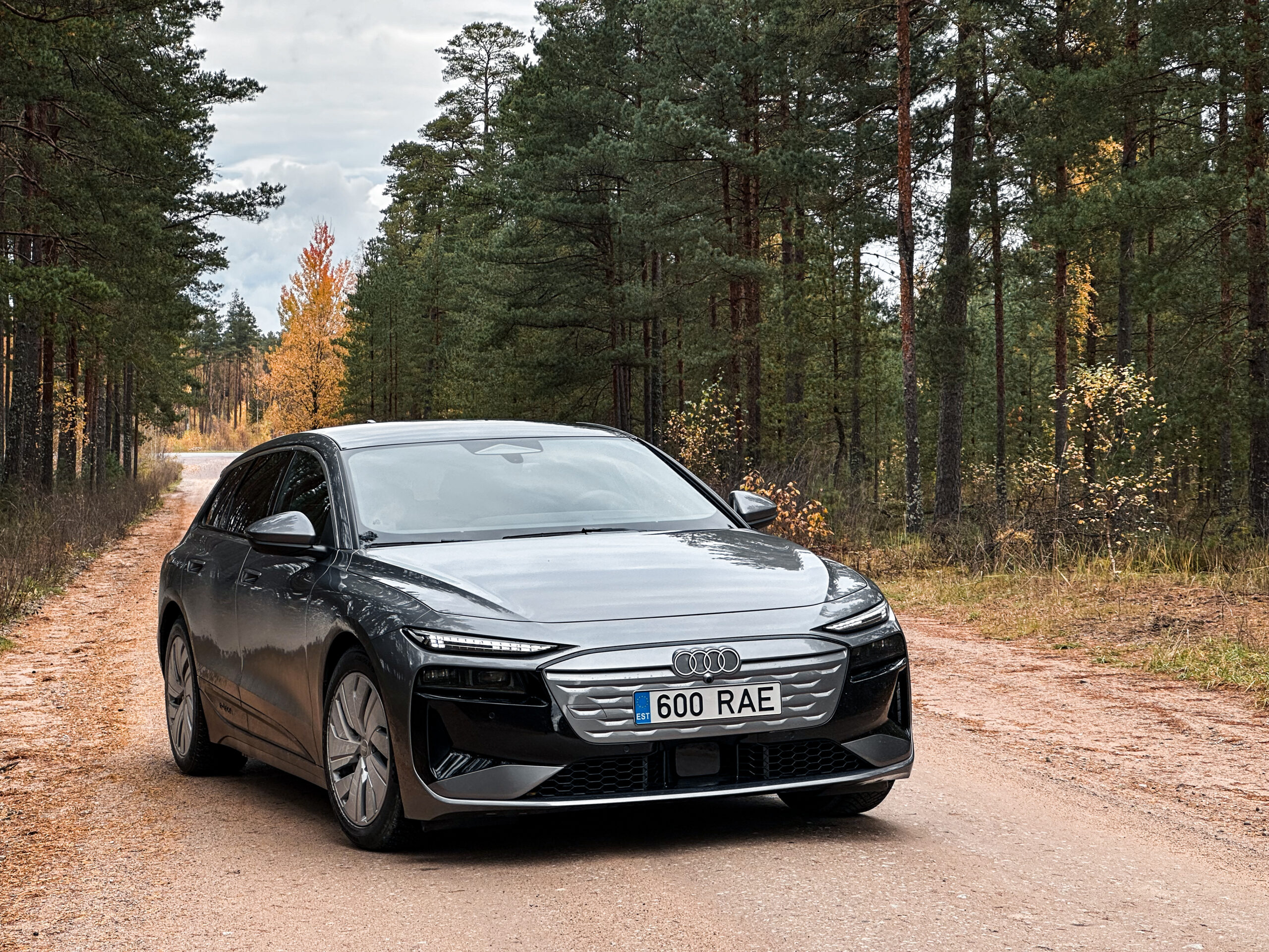 Audi A6 Avant e-tron, Vladimir Niinimäki