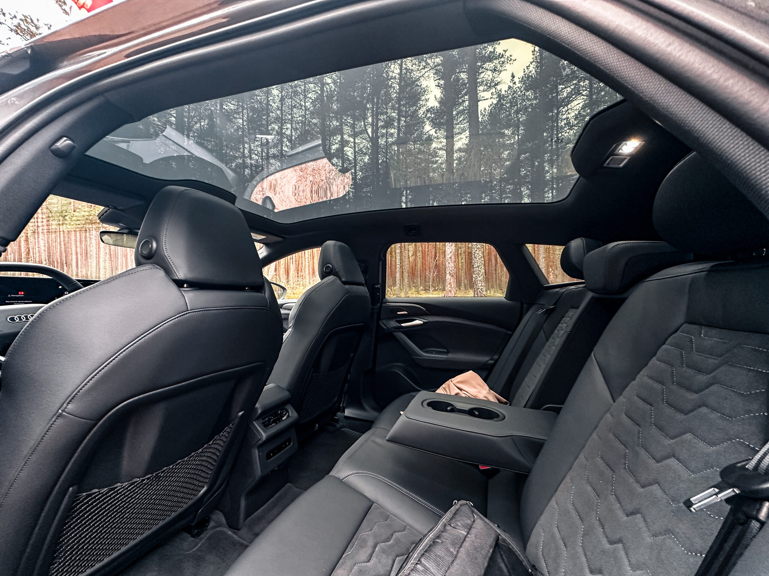 Audi A6 Avant e-tron, Vladimir Niinimäki