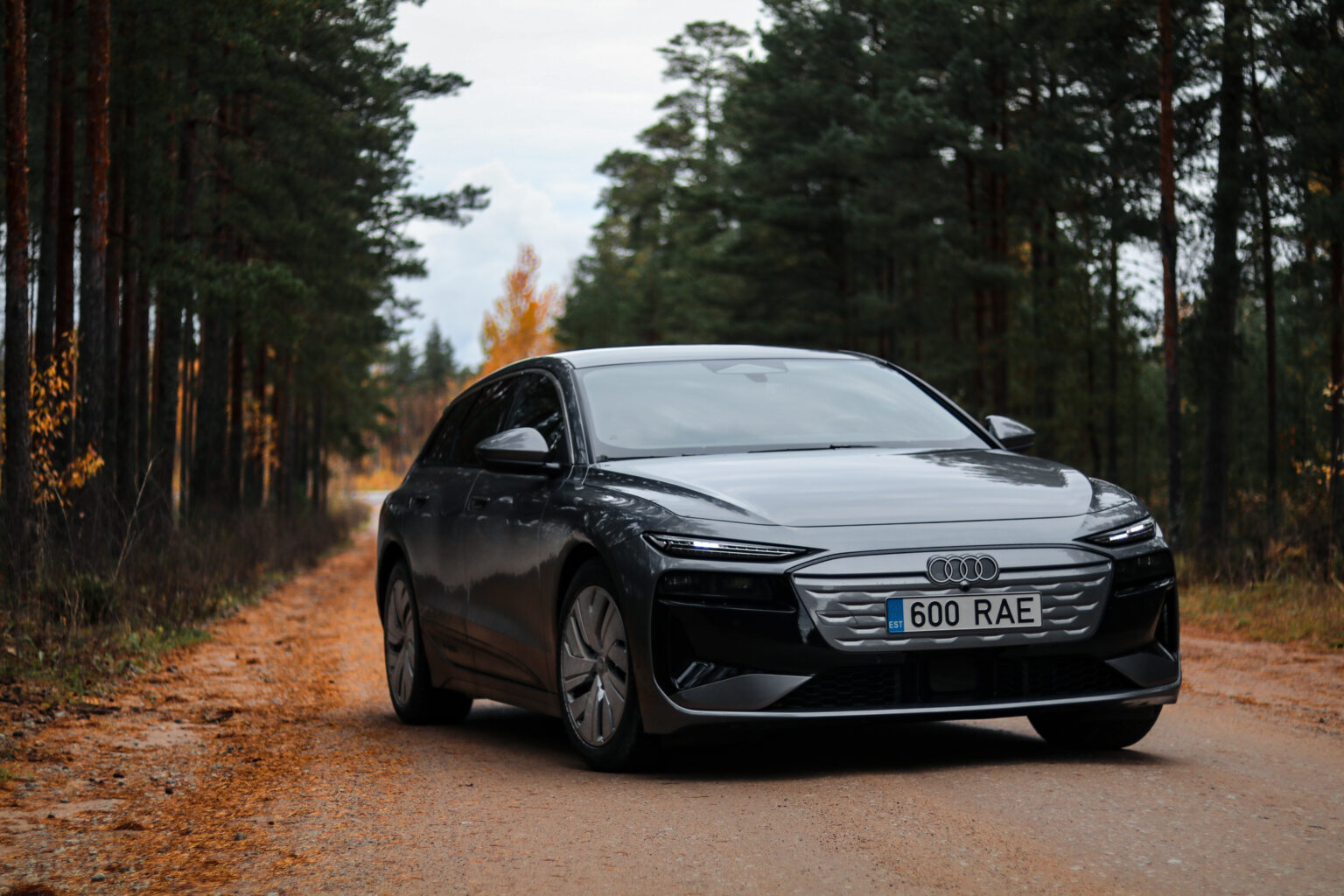 Audi A6 Avant e-tron, Vladimir Niinimäki