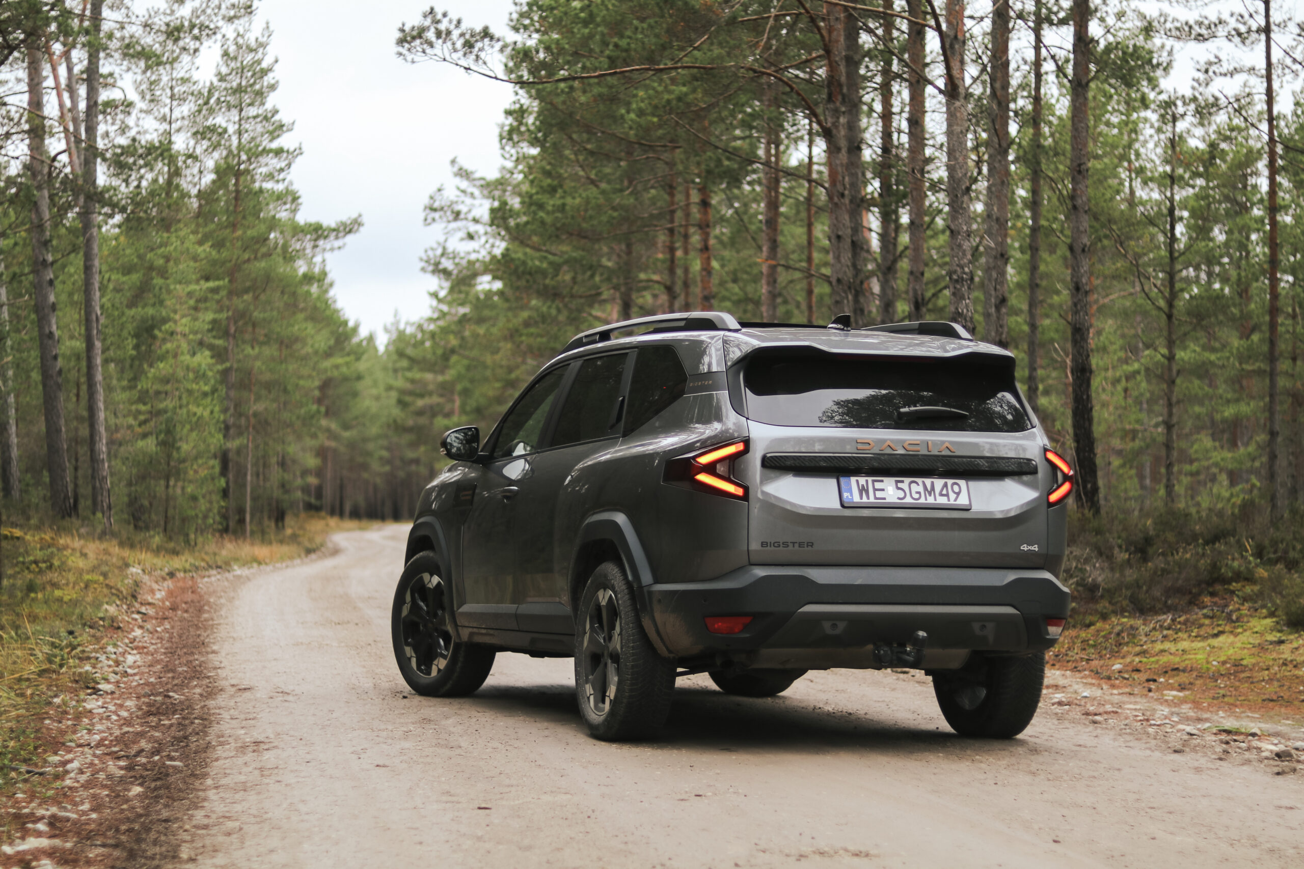 Dacia Bigster 4x4, Vladimir Niinimäki