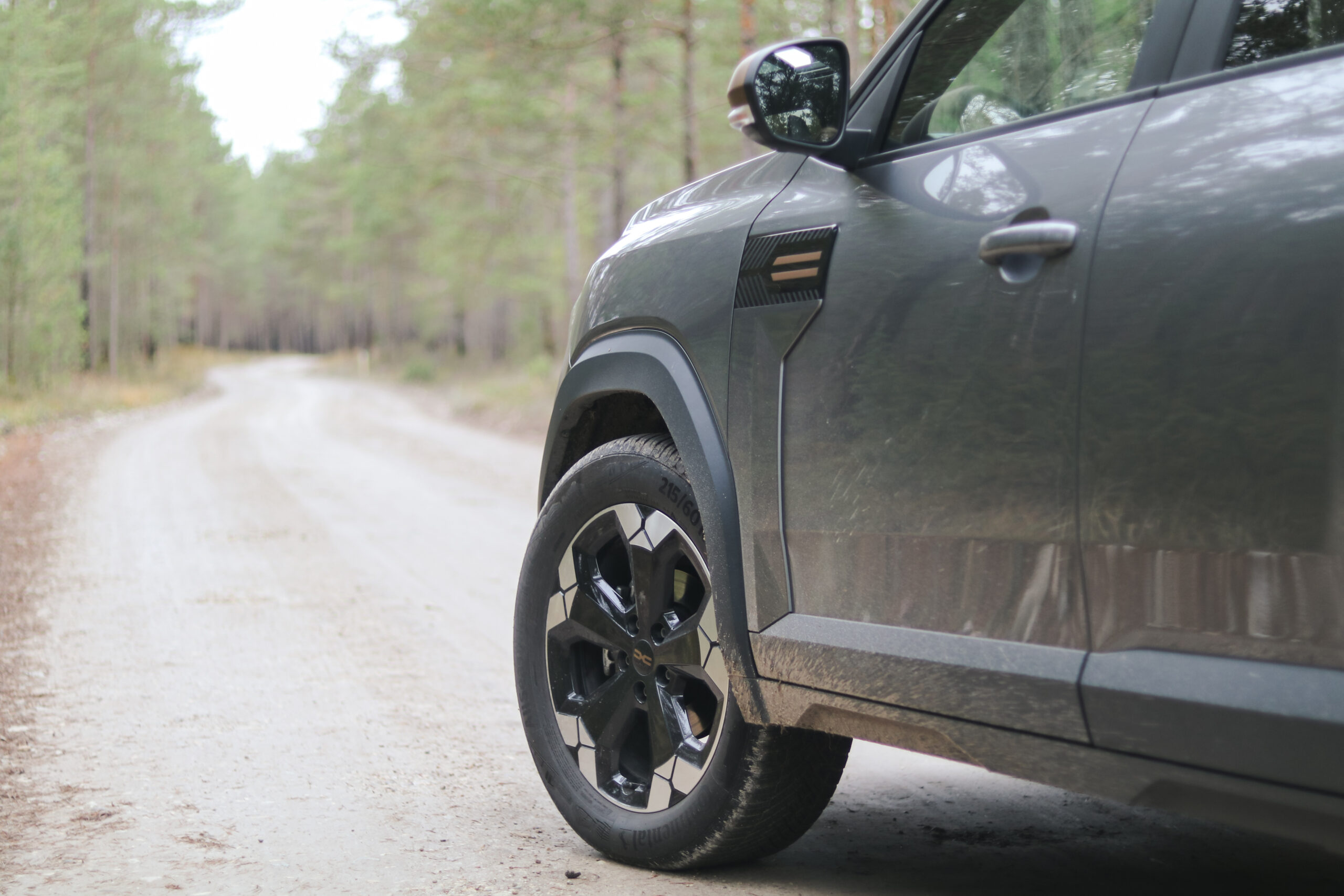 Dacia Bigster 4x4, Vladimir Niinimäki