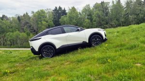 Toyota katuse all sündinud pisim Taevasõel